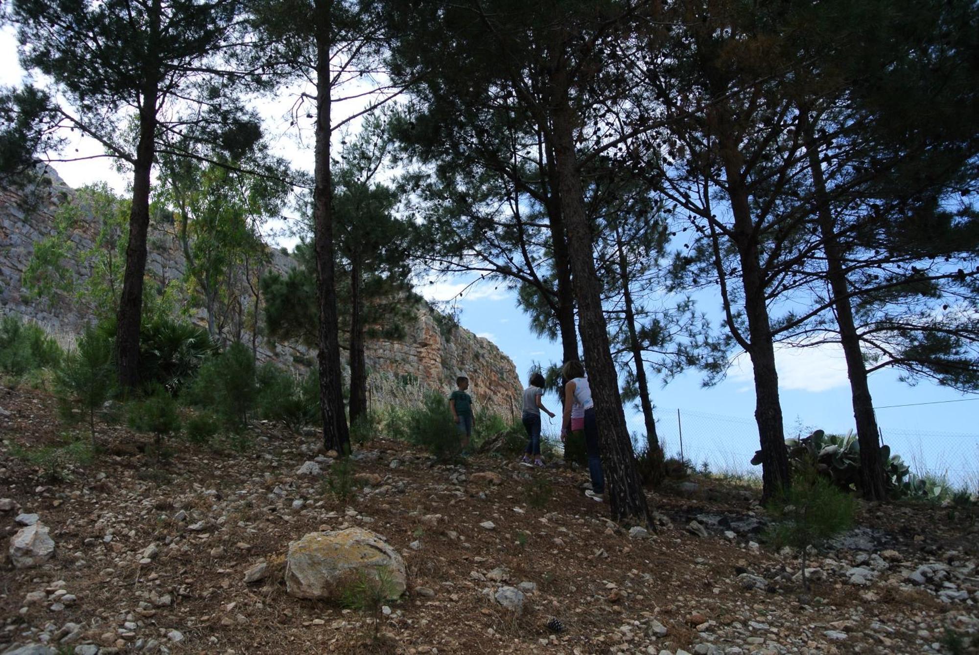 La Pineta Al Mare Erice Exterior foto